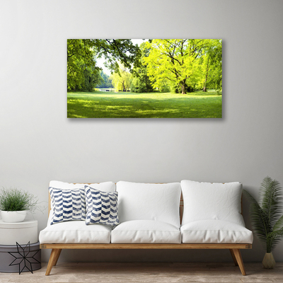 Leinwand-Bilder Gras Bäume Natur