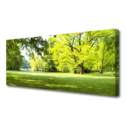 Leinwand-Bilder Gras Bäume Natur