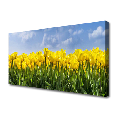 Leinwand-Bilder Tulpen Pflanzen