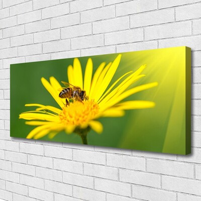 Leinwand-Bilder Wespe Blume Pflanzen