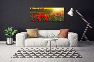 Leinwand-Bilder Wiese Blumen Natur