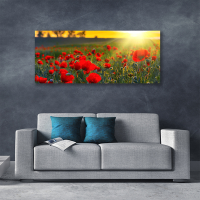 Leinwand-Bilder Wiese Blumen Natur