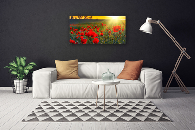 Leinwand-Bilder Wiese Blumen Natur