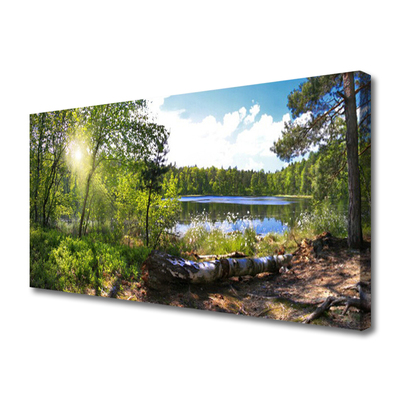 Leinwand-Bilder Wald See Natur