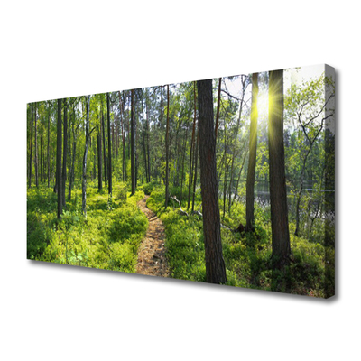 Leinwand-Bilder Wald Natur