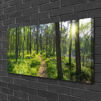 Leinwand-Bilder Wald Natur