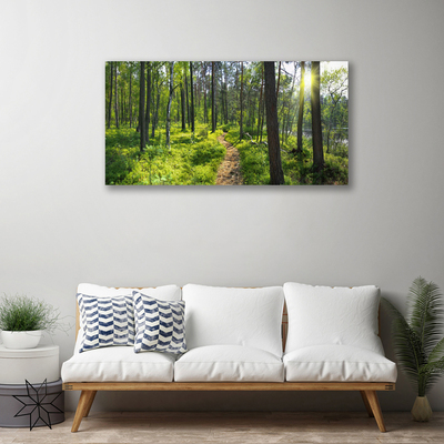 Leinwand-Bilder Wald Natur