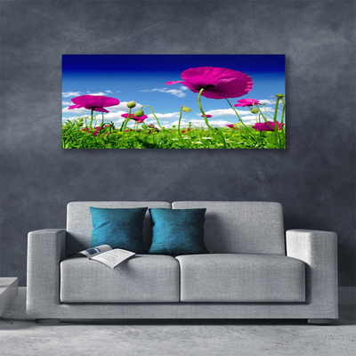 Leinwand-Bilder Wiese Blumen Natur