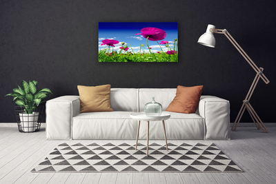 Leinwand-Bilder Wiese Blumen Natur