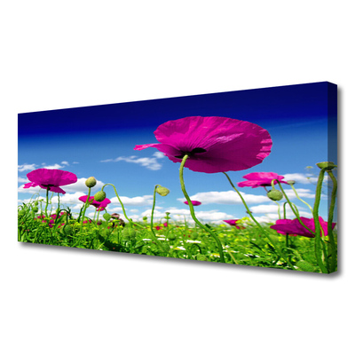 Leinwand-Bilder Wiese Blumen Natur