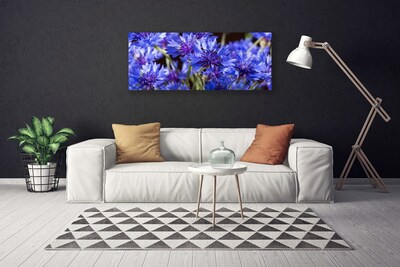 Leinwand-Bilder Blumen Pflanzen