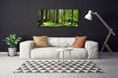 Leinwand-Bilder Wald Natur