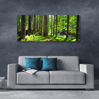 Leinwand-Bilder Wald Natur