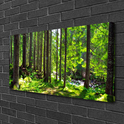 Leinwand-Bilder Wald Natur