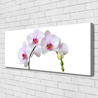 Leinwand-Bilder Blumen Pflanzen