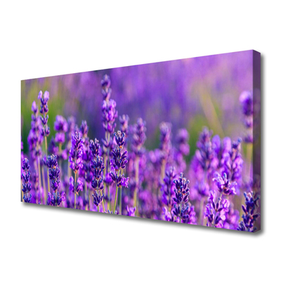 Leinwand-Bilder Blumen Pflanzen