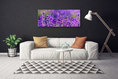 Leinwand-Bilder Blumen Pflanzen