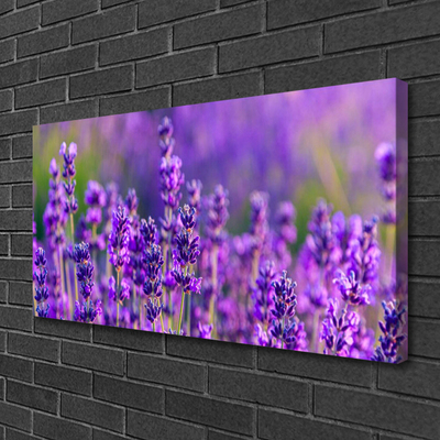 Leinwand-Bilder Blumen Pflanzen