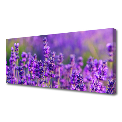 Leinwand-Bilder Blumen Pflanzen