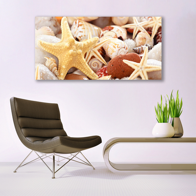 Leinwand-Bilder Seesterne Muscheln Kunst