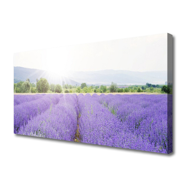 Leinwand-Bilder Wiese Blumen Natur