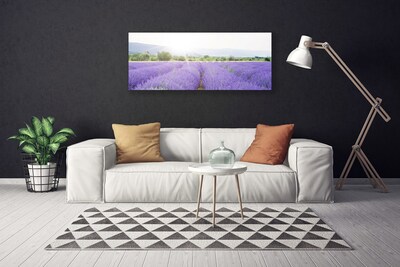 Leinwand-Bilder Wiese Blumen Natur