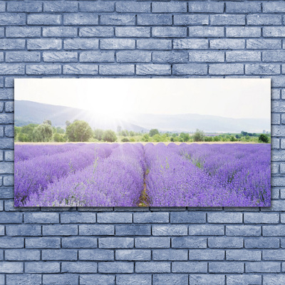 Leinwand-Bilder Wiese Blumen Natur