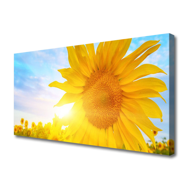 Leinwand-Bilder Sonnenblume Pflanzen