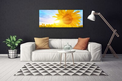 Leinwand-Bilder Sonnenblume Pflanzen