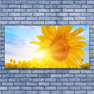 Leinwand-Bilder Sonnenblume Pflanzen