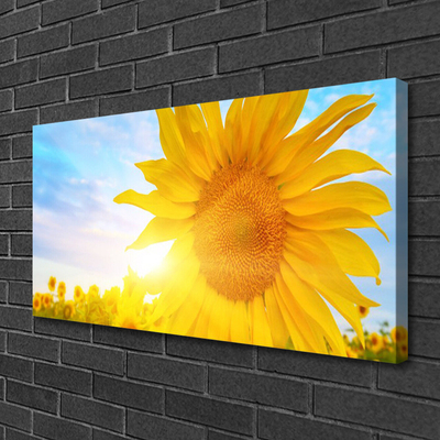 Leinwand-Bilder Sonnenblume Pflanzen