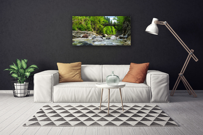Leinwand-Bilder Wald Brücke See Steine Landschaft