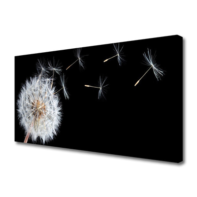 Leinwand-Bilder Pusteblume Pflanzen