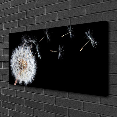 Leinwand-Bilder Pusteblume Pflanzen