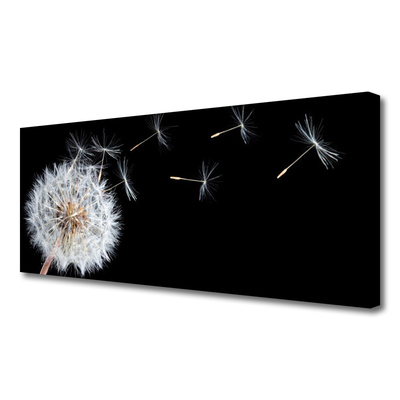 Leinwand-Bilder Pusteblume Pflanzen