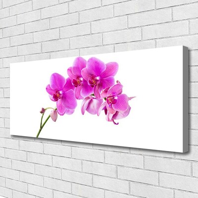 Leinwand-Bilder Blumen Pflanzen