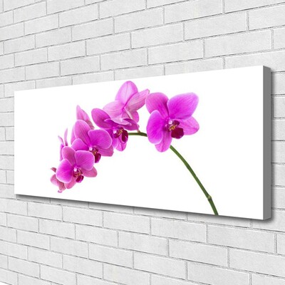 Leinwand-Bilder Blumen Pflanzen