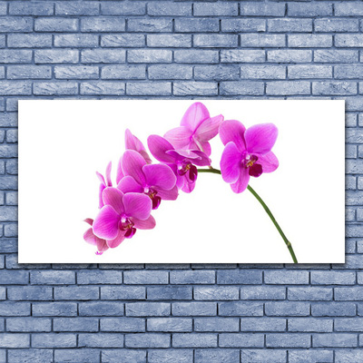 Leinwand-Bilder Blumen Pflanzen