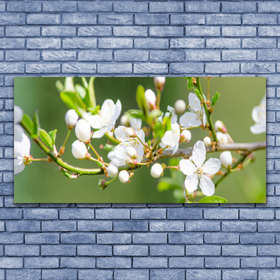 Leinwand-Bilder Zweige Blumen Pflanzen