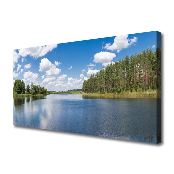 Leinwand-Bilder Wald See Landschaft