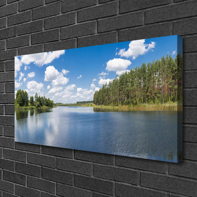 Leinwand-Bilder Wald See Landschaft