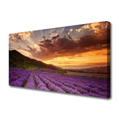 Leinwand-Bilder Gebirge Wiese Blumen Landschaft