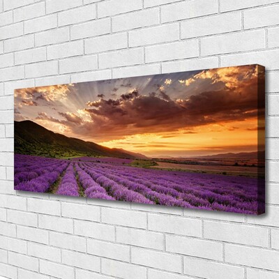 Leinwand-Bilder Gebirge Wiese Blumen Landschaft