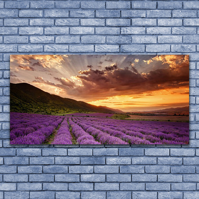 Leinwand-Bilder Gebirge Wiese Blumen Landschaft