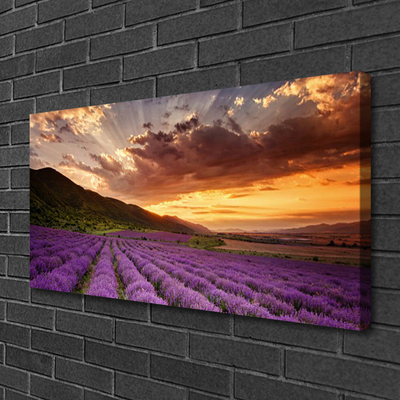 Leinwand-Bilder Gebirge Wiese Blumen Landschaft