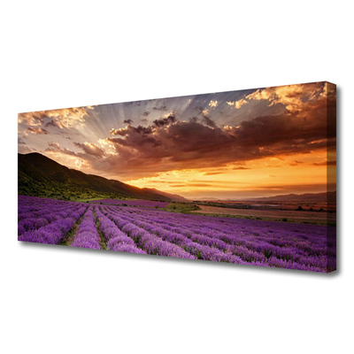 Leinwand-Bilder Gebirge Wiese Blumen Landschaft