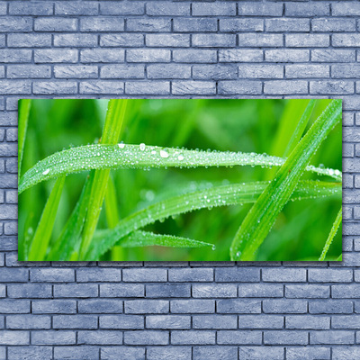 Leinwand-Bilder Gras Natur