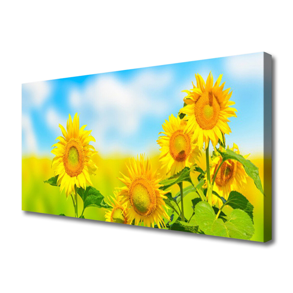 Leinwand-Bilder Sonnenblumen Pflanzen