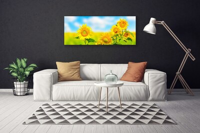 Leinwand-Bilder Sonnenblumen Pflanzen