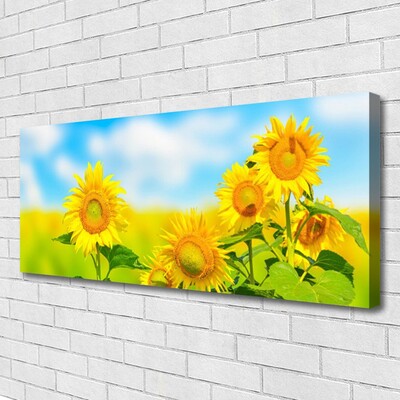 Leinwand-Bilder Sonnenblumen Pflanzen